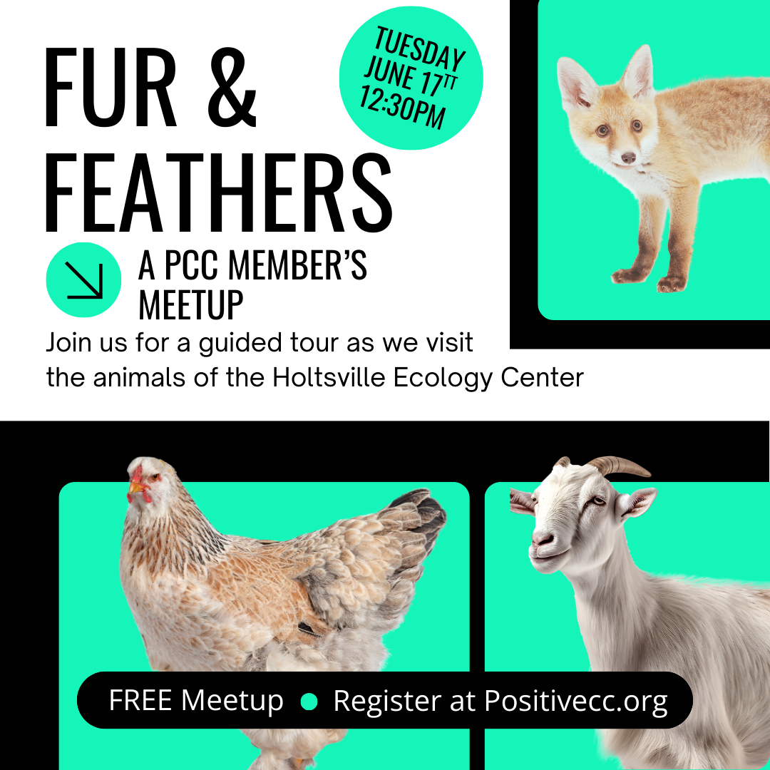 Fur & Feathers Guided Tour